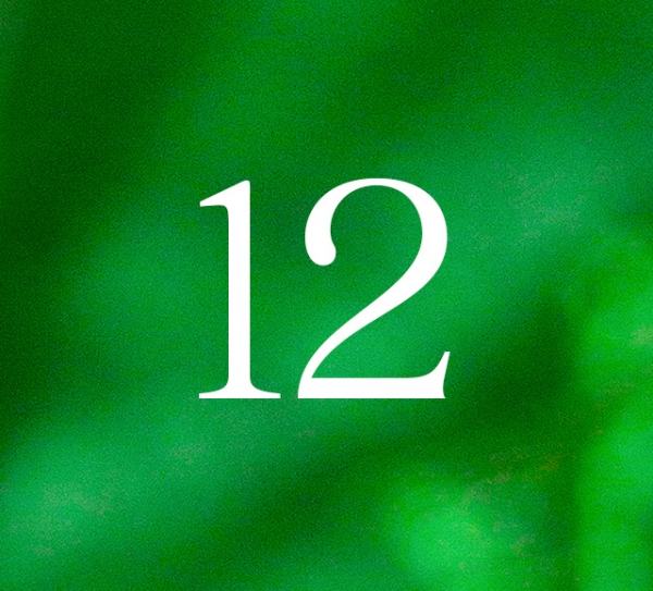 12‑й день. Выход из мест силы