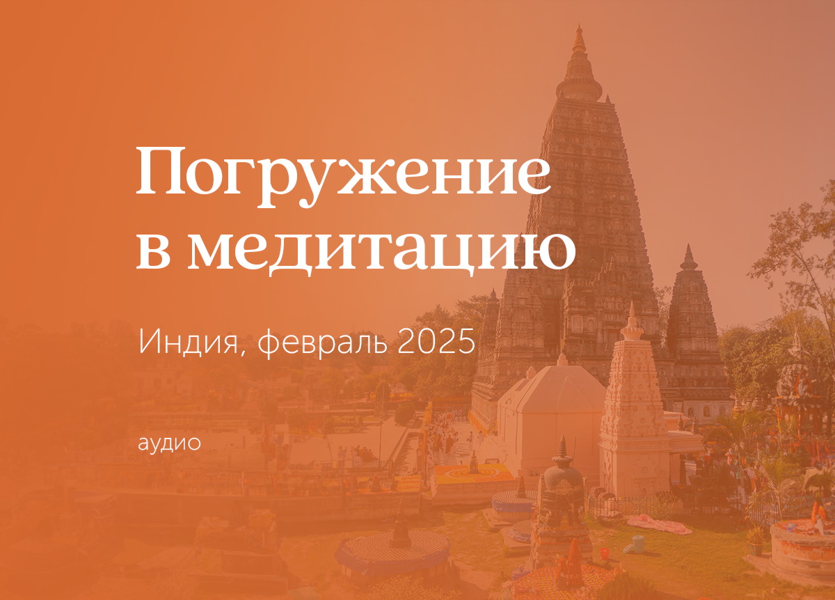 «Погружение в медитацию» йога-тур в Индию, 2025