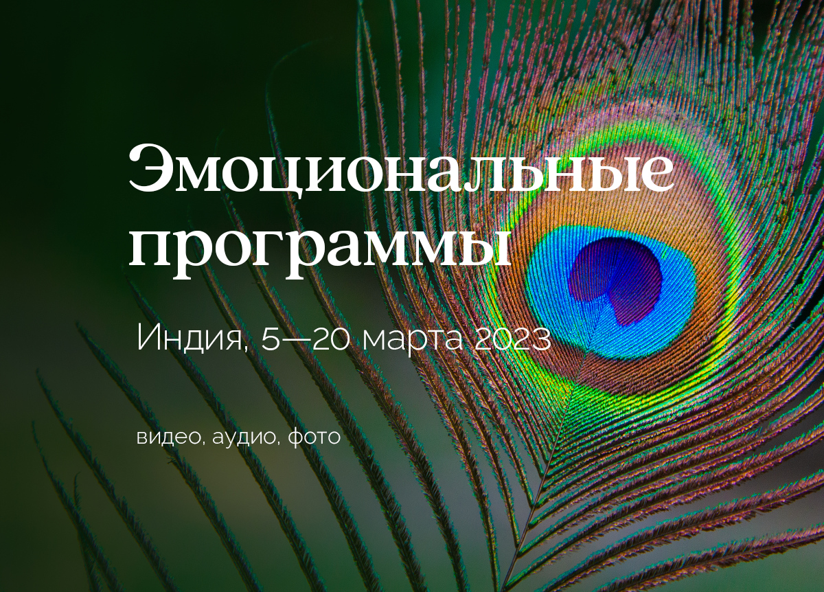 «Эмоциональные программы» йога-тур в Индию, 5 — 20 марта 2023